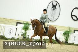 24BUCK_03012 thumbnail