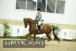 24BUCK_03013 thumbnail