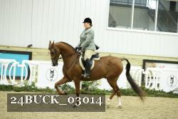 24BUCK_03014 thumbnail