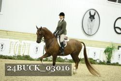 24BUCK_03016 thumbnail