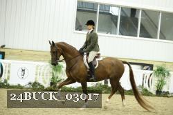 24BUCK_03017 thumbnail