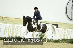 24BUCK_03019 thumbnail