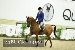 24BUCK_03021 thumbnail