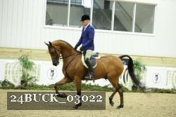 24BUCK_03022 thumbnail