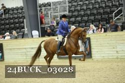 24BUCK_03028 thumbnail