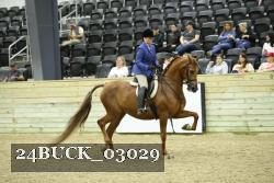 24BUCK_03029 thumbnail