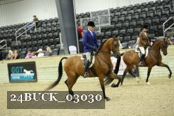 24BUCK_03030 thumbnail
