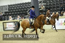 24BUCK_03031 thumbnail