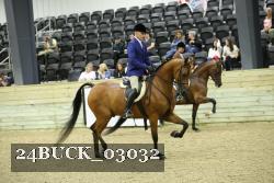 24BUCK_03032 thumbnail