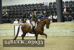 24BUCK_03033 thumbnail