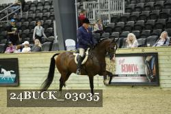 24BUCK_03035 thumbnail