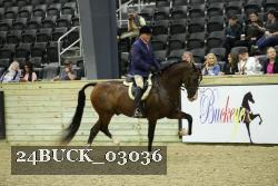 24BUCK_03036 thumbnail
