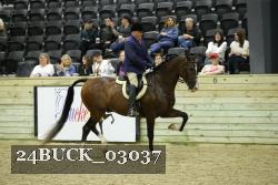 24BUCK_03037 thumbnail