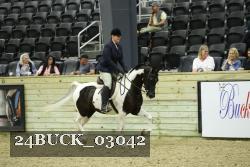 24BUCK_03042 thumbnail
