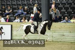 24BUCK_03043 thumbnail