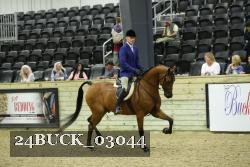 24BUCK_03044 thumbnail