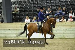 24BUCK_03045 thumbnail