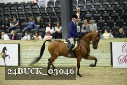 24BUCK_03046 thumbnail
