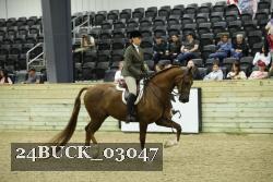 24BUCK_03047 thumbnail