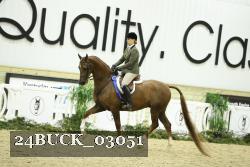 24BUCK_03051 thumbnail
