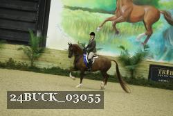 24BUCK_03055 thumbnail