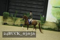 24BUCK_03056 thumbnail