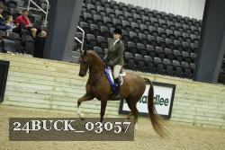 24BUCK_03057 thumbnail
