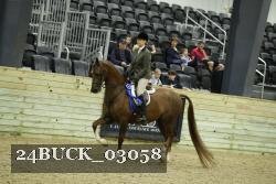 24BUCK_03058 thumbnail
