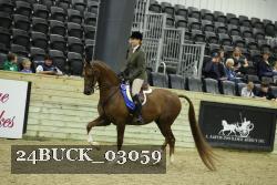 24BUCK_03059 thumbnail
