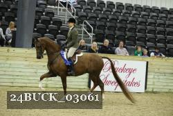 24BUCK_03061 thumbnail