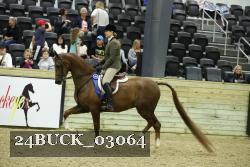 24BUCK_03064 thumbnail