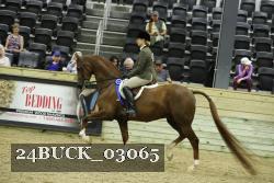 24BUCK_03065 thumbnail