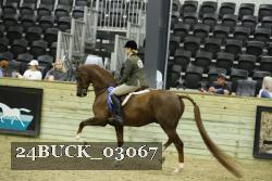 24BUCK_03067 thumbnail
