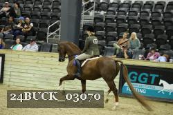 24BUCK_03070 thumbnail