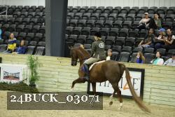 24BUCK_03071 thumbnail