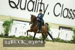 24BUCK_03076 thumbnail