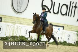 24BUCK_03077 thumbnail