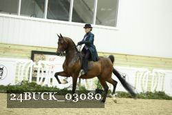 24BUCK_03080 thumbnail