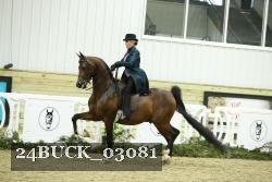 24BUCK_03081 thumbnail