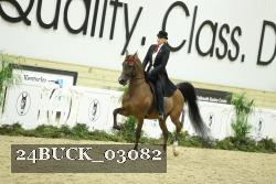 24BUCK_03082 thumbnail