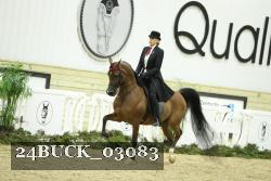 24BUCK_03083 thumbnail