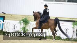 24BUCK_03084 thumbnail