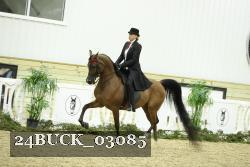24BUCK_03085 thumbnail