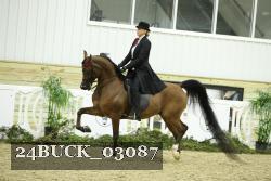 24BUCK_03087 thumbnail