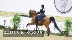 24BUCK_03088 thumbnail