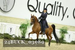 24BUCK_03089 thumbnail