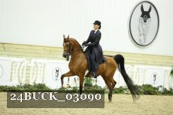 24BUCK_03090 thumbnail