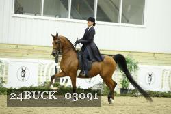 24BUCK_03091 thumbnail