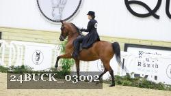 24BUCK_03092 thumbnail