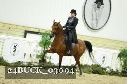 24BUCK_03094 thumbnail